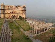 rajasthan-leafes