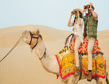 Pushkar-Camel-Safari