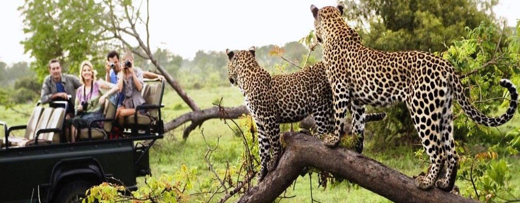 golden-triangle-toue-with-ranthambore