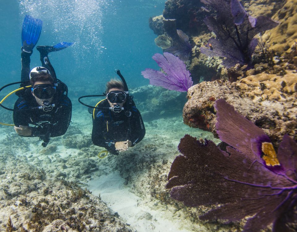 scuba-diving-india